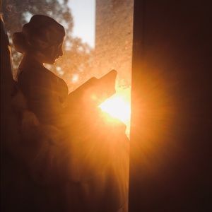 Meet your Posher, Abby